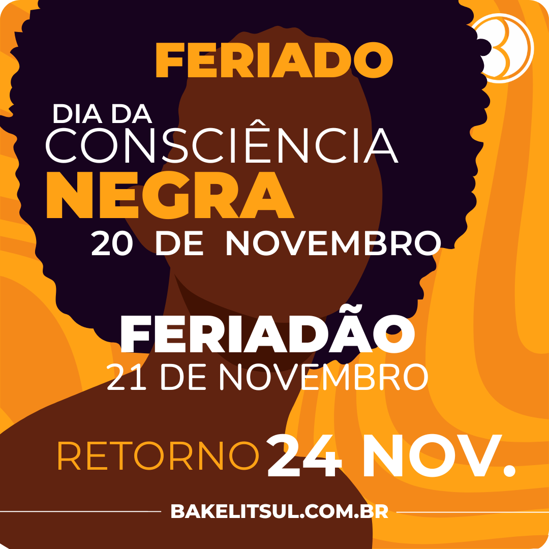 feriadao consciencia negra