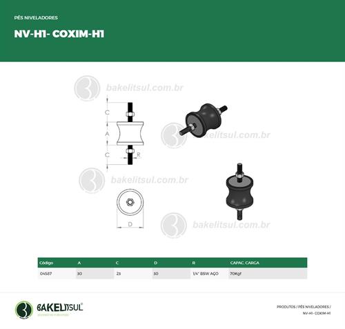 PÉ NIVELADOR TIPO COXIM 04587 