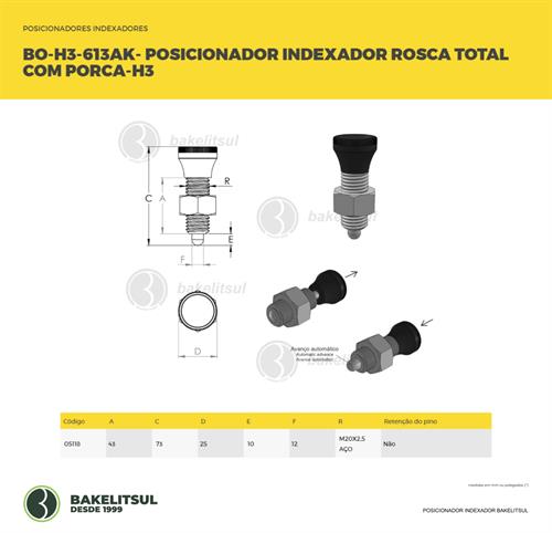 POSICIONADOR INDEXADOR H3 ROSCA TOTAL COM PORCA 05118 