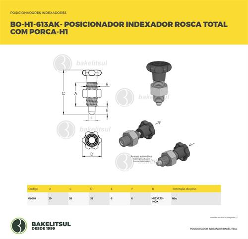 POSICIONADOR INDEXADOR H1 ROSCA TOTAL COM PORCA 06684 