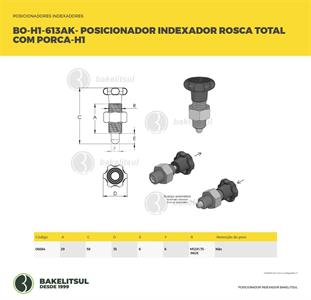 POSICIONADOR INDEXADOR H1 ROSCA TOTAL COM PORCA 06684 
