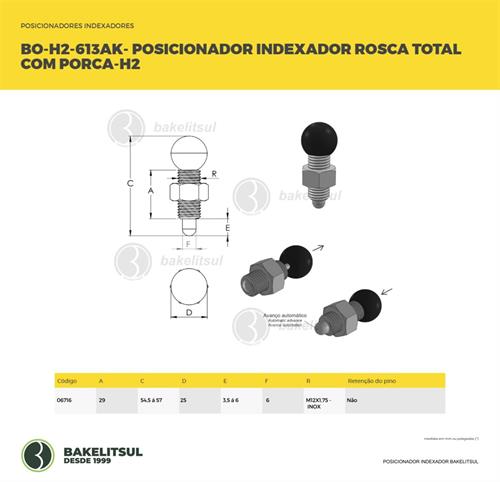 POSICIONADOR INDEXADOR H2 ROSCA TOTAL COM PORCA 06716 