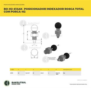 POSICIONADOR INDEXADOR H2 ROSCA TOTAL COM PORCA 06716 