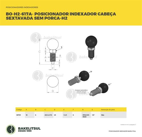 POSICIONADOR INDEXADOR H2 SEXTAVADO SEM PORCA 06723 