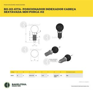 POSICIONADOR INDEXADOR H2 SEXTAVADO SEM PORCA 06723 