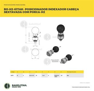 POSICIONADOR INDEXADOR H2 SEXTAVADO COM PORCA 06731 