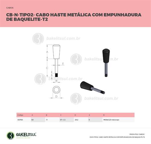 CABO ALAVANCA CB-N-T2 06760 