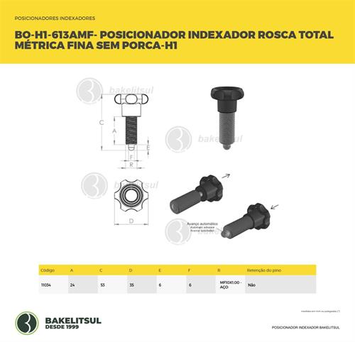 POSICIONADOR INDEXADOR H1 ROSCA MÉTRICA FINA SEM PORCA 11034 F3 08164 
