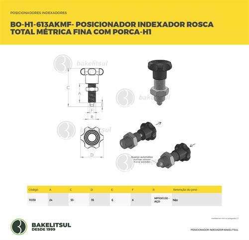 POSICIONADOR INDEXADOR H1 ROSCA MÉTRICO FINO COM PORCA 11039 F3 08169 