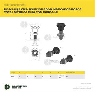 POSICIONADOR INDEXADOR H1 ROSCA MÉTRICO FINO COM PORCA 11039 F3 08169 