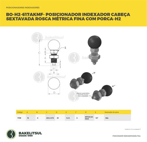 POSICIONADOR INDEXADOR H2 SEXTAVADO MÉTRICO FINO COM PORCA 11198 F3 08333 