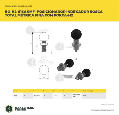 POSICIONADOR INDEXADOR H2 ROSCA MÉTRICA FINA COM PORCA 11201 F3 08336 
