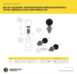 POSICIONADOR INDEXADOR H2 ROSCA MÉTRICA FINA COM PORCA 11201 F3 08336 