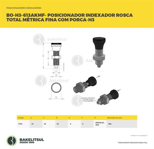 POSICIONADOR INDEXADOR H3 ROSCA MÉTRICA FINA COM PORCA 11242 F3 08377 