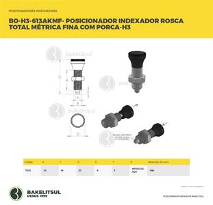 POSICIONADOR INDEXADOR H3 ROSCA MÉTRICA FINA COM PORCA 11242 F3 08377 
