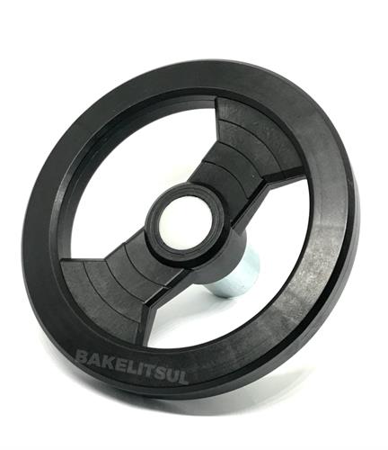 VOLANTE DOIS RAIOS MIOLO AÇO VO-A3 08339 F3 06412 